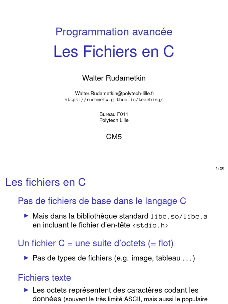 Fichiers en C : Guide Complet | PDF | Fichier informatique ...