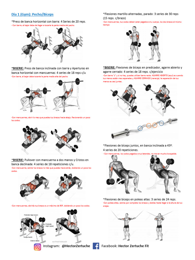Rutina de Pecho y Bíceps en Gym | PDF | Codo | Entrenamiento con pesas