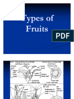 Types Of Fruit 