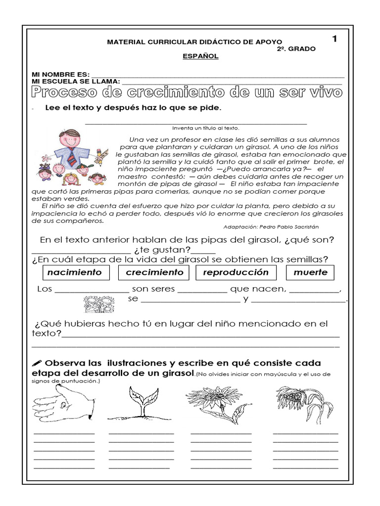 Actividades Didácticas para 2º Grado | PDF | Artes del Lenguaje y ...