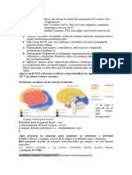 S2 - Daño Cerebral