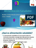 PDF Alimentacion Saludable
