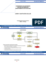 01 - Lesión y Adaptación Celular