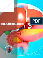 GLUCÓLISIS 2024