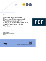 Immune Response and Molecular Mechanisms of Cardiovascular Adverse Effects of Spike Proteins From SARS-CoV-2 and mRNA Vaccines