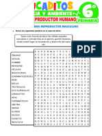 Sistema-Reproductor-Humano-para-Sexto-Grado-de-Primaria