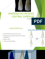 Anatomia Do Incisivo Central Superior