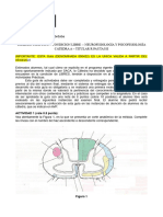 Trabajo Practico Libre l1v3 - 2022