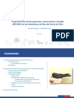 Propuesta Plan RECOGE - Golondrina - PAC - PPT - 25.05.2021 - V03