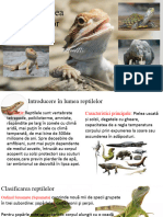 Diversitatea Reptilelor Vetrogon Petru