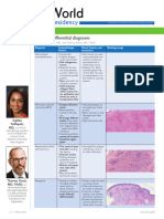 AAD BF Paisley Tie Diagnosis