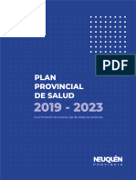 Plan Provincial de Salud Neuquen 2019-2023