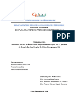 Relatório de Práticas Pré-Profissionais Realizado No Hospital Dr. Walter Strangway Do Bié