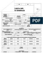 Encuesta Sipe Formato