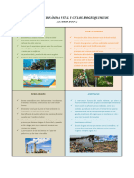 Actividad Ecosistemas Dinámica Vital y Ciclos Biogeoquimicos