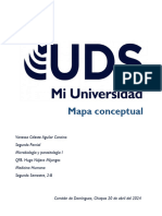 Mapa Conceptual Micro