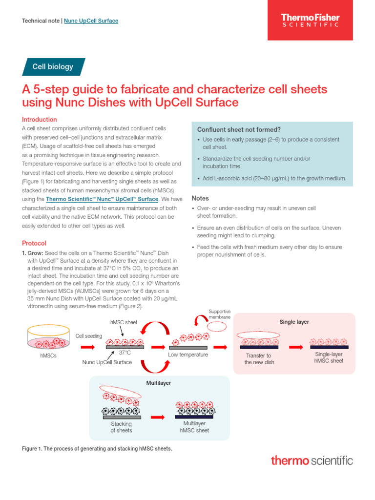5 Step Guide Multilayer Cell Models Upcell App Note | PDF | Staining ...