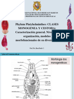 Monogenea