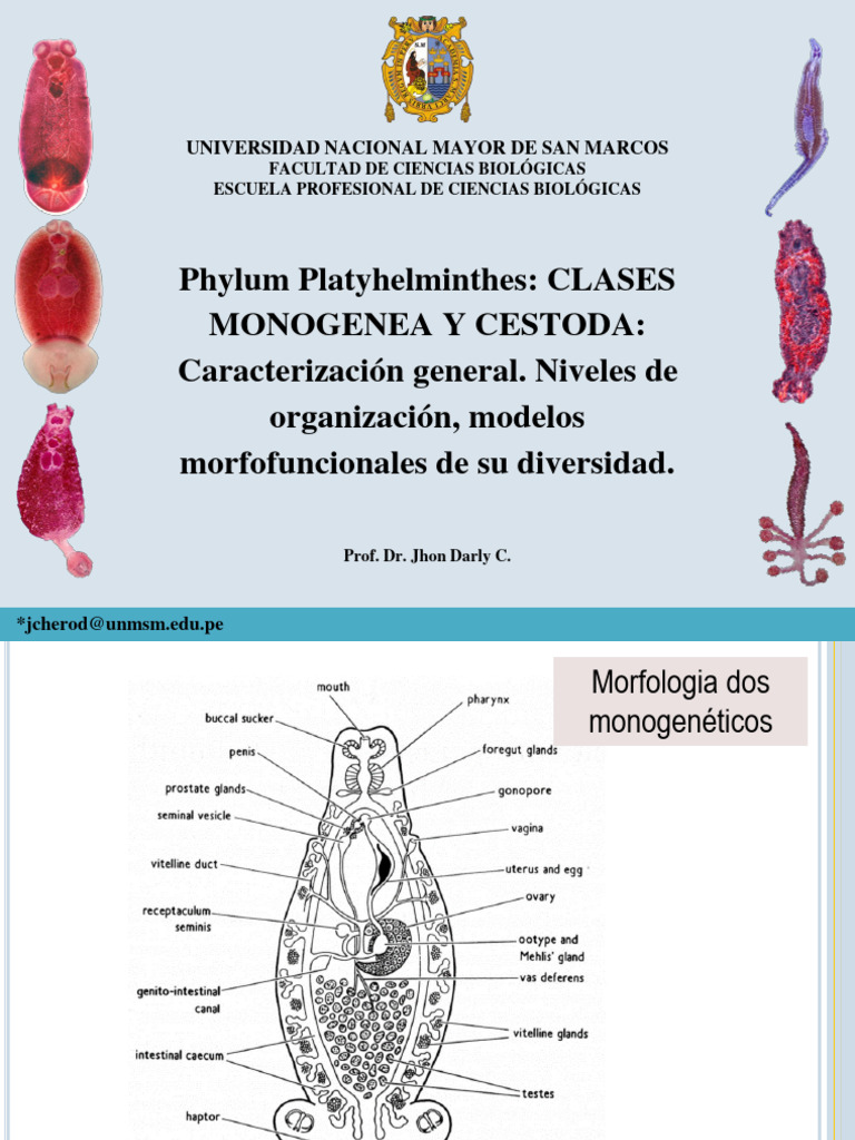 Características da Classe Monogenea | PDF | Peixes