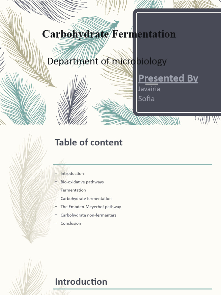 Carbohydrate Fermentation Overview | PDF | Carbohydrates | Fermentation
