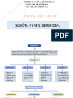 Perfil Gerencial - Organizador Visual