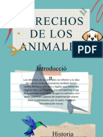 Derechos de Los Animales - 20240415 - 182135 - 0000