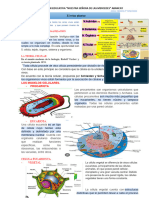 El Reino Plantae