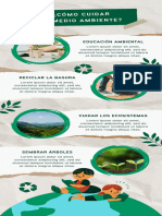 Infografía Cuidado Del Medio Ambiente Moderno Verde