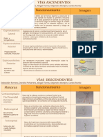 Gráfico Cuadro Comparativo Vias ascendentes y descendentes