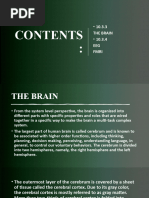 The Brain and Introduction To EEG and FMRI