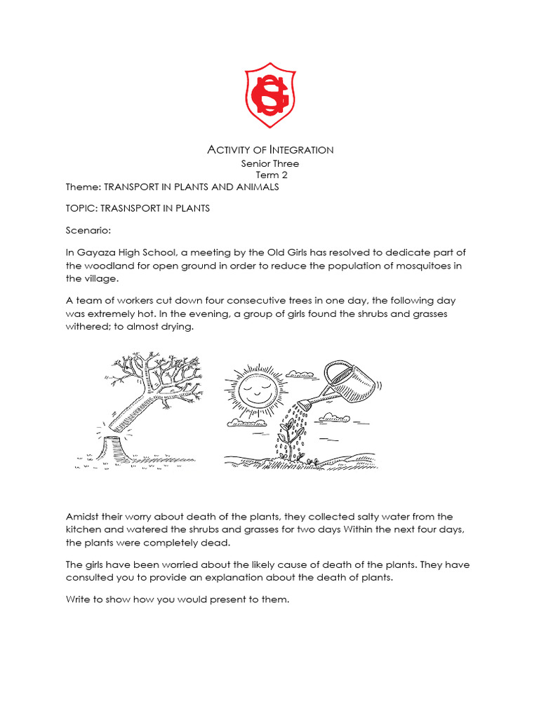 Activity of integration s3 transport pdf stoma earth sciences