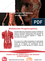 Disfunciones Del Sistema Propioceptivo