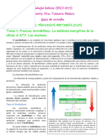 Unidad 2. Procesos Metabólicos