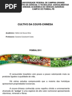 Apresentação CASSIANA