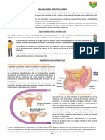 VALORACIÓN DE NUESTRO CUERPO