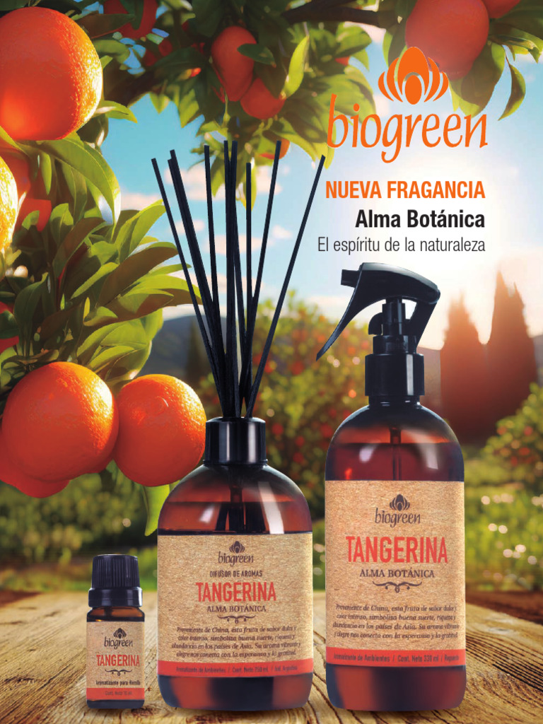 Catálogo 2024 de Aromatizantes y Difusores | PDF | Perfume