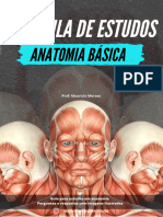 Apostila de Estudos Anatomia Basica 2