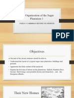 The Organisation of The Sugar Plantation