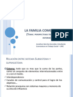 Texto Familia-Subsistema-y-Suprasistema