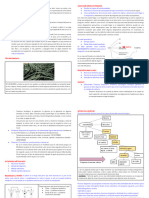 Clase 1. Estrategias para El Diagnóstico