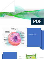 3parts and Functions of The Cell