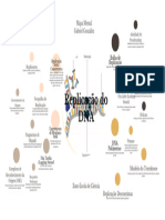 Replicação Do DNA