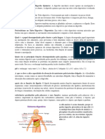 Documento Sem Título 4