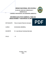 INFORME - PIERO ARMANDO PALOMINO CARRASCO