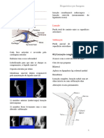 3.1) Diagnóstico Radiográfico Da Displasia Coxofemoral em Câes
