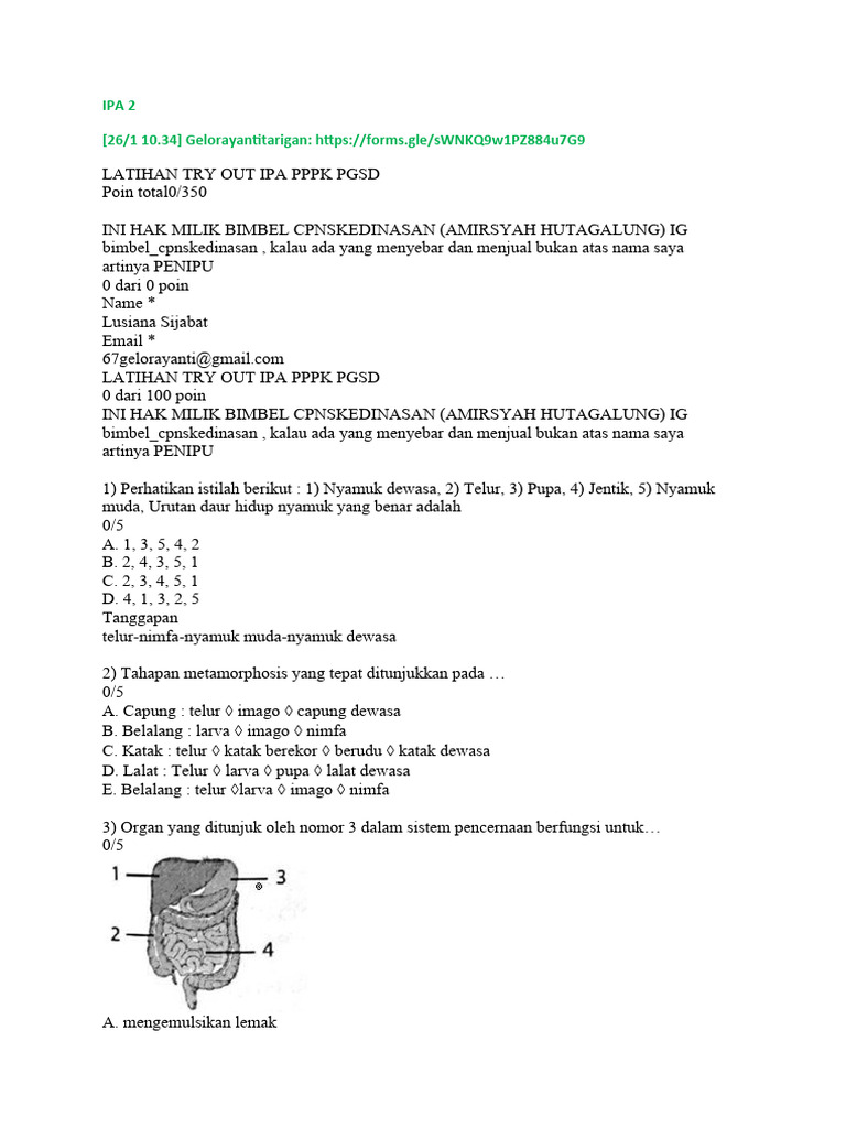 Ipa 2 | PDF