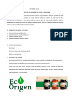 Formato Informe #01