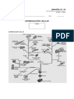 1° Desafío 15 Diferenciación Celular