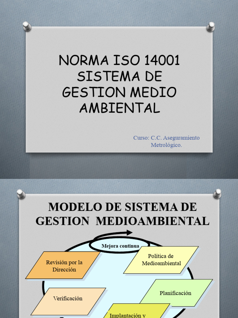 Guía Completa sobre la Norma ISO 14001 | PDF | Auditoría | Entorno natural