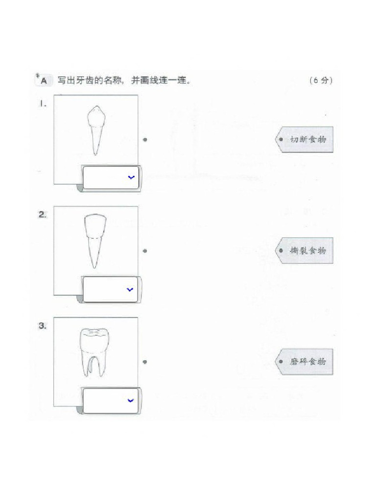 三年级科学第三课练习2 | PDF